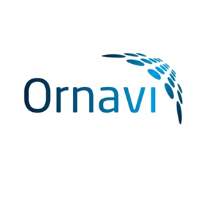 Ornavi Logo Medium Sized